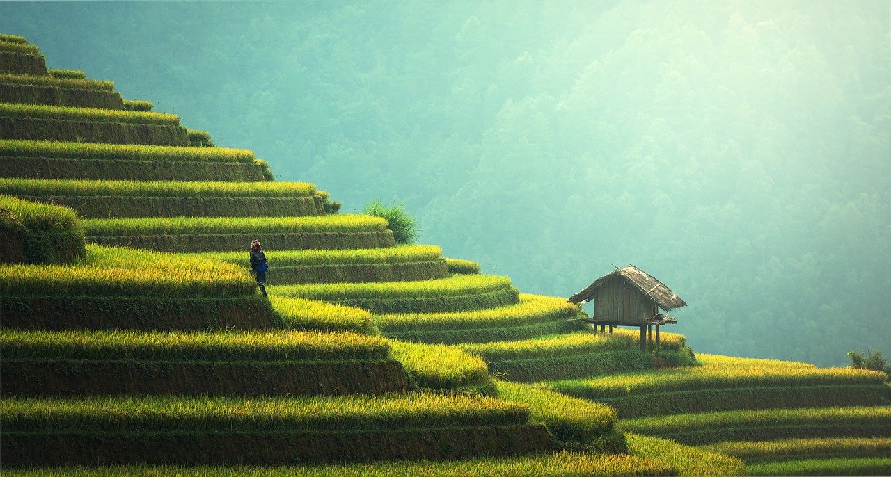 bali-indonesia-rice-fields