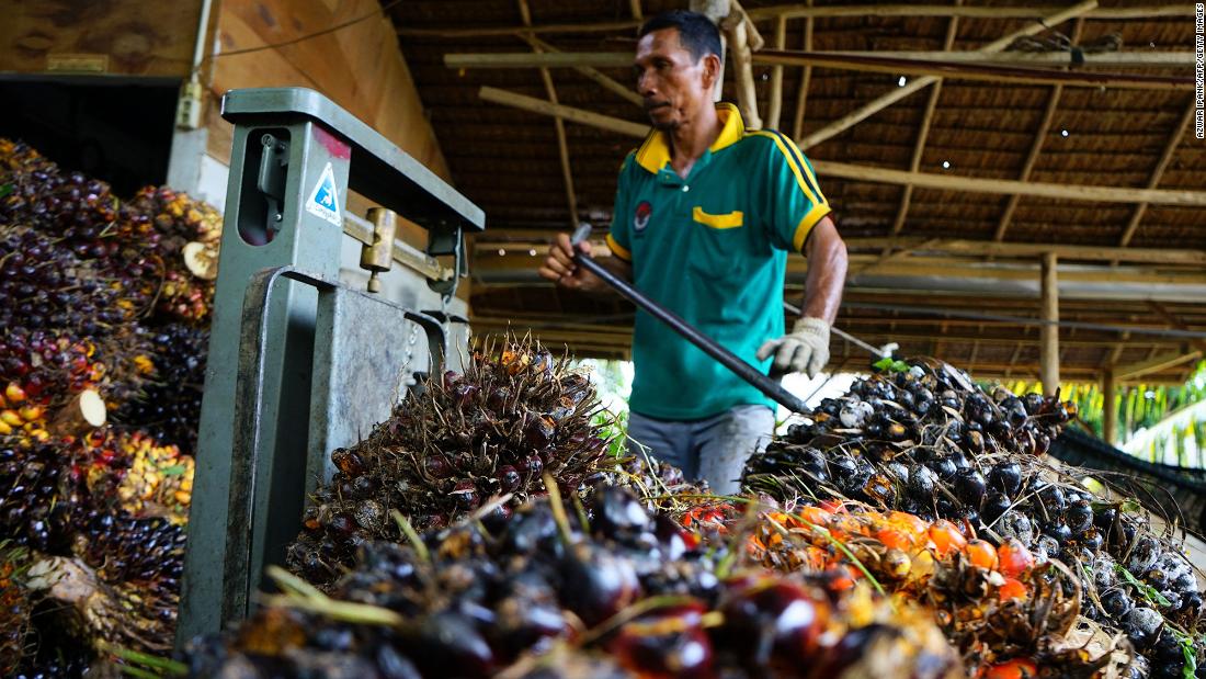 Food price relief? Indonesia lifts palm oil export ban