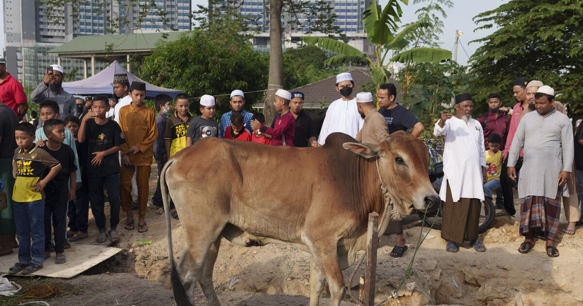 Indonesian Muslims celebrate Eid al-Adha amid outbreak of foot-and-mouth disease