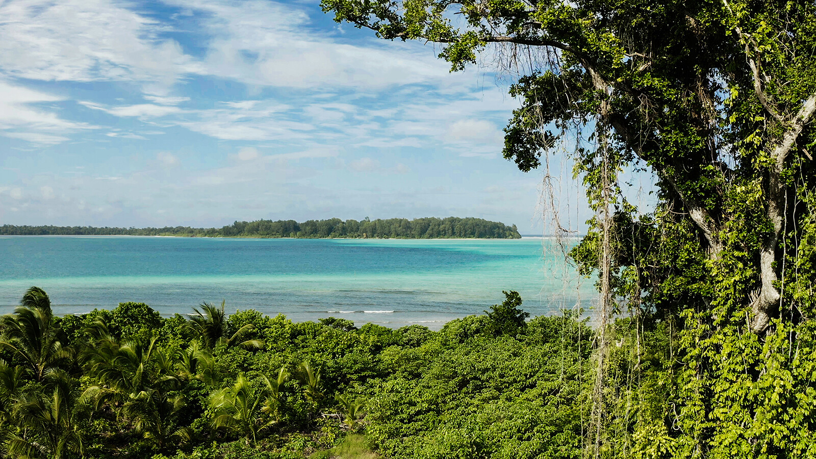 A once-in-a-lifetime auction for the rights to an Indonesian island archipelago