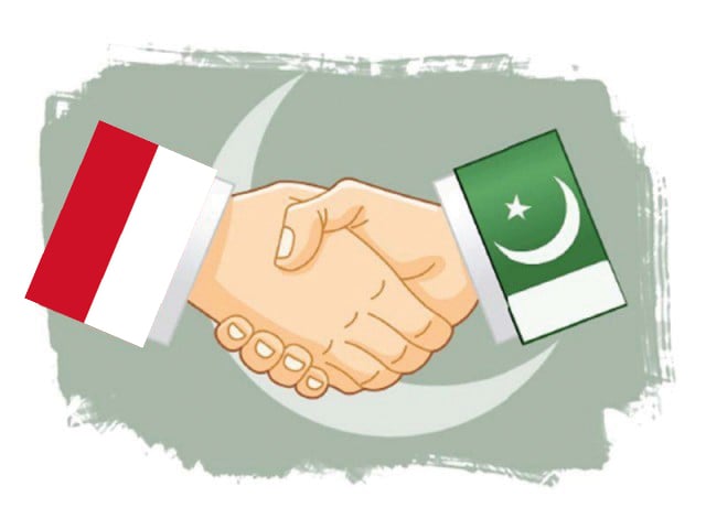 Pakistan, Indonesia engage in economic diplomacy
