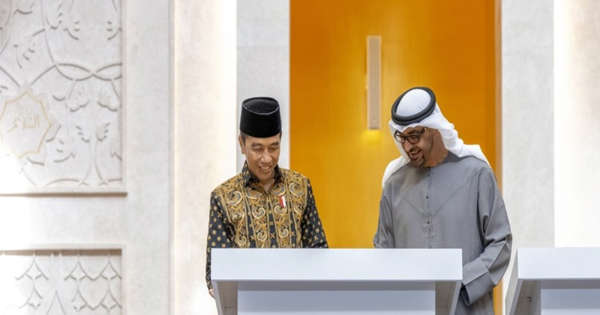 UAE President and Indonesian President Discuss Issues of G20 Summit