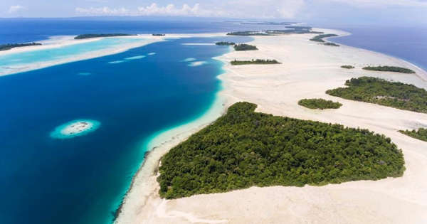 Stake in Indonesia's Widi Reserve islands up for auction by Sotheby's, but environmentalists have concerns