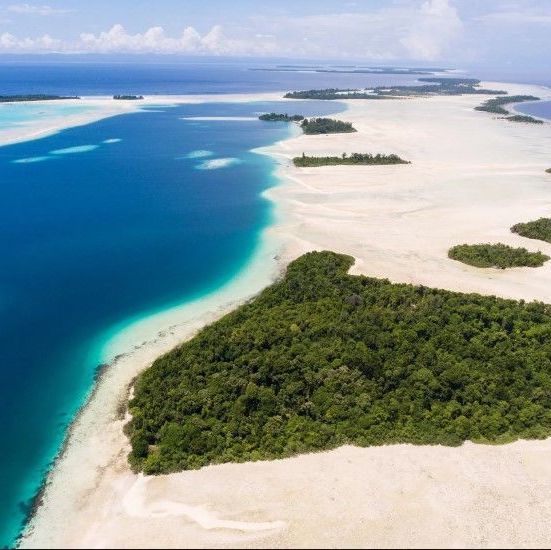 Widi Reserve, an Indonesian archipelago, is up for auction