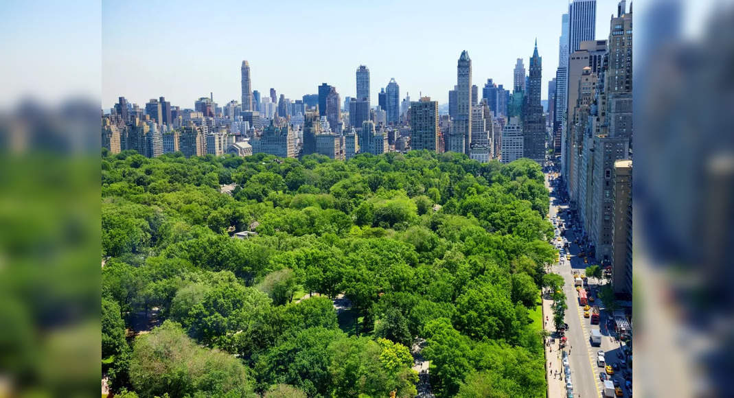 You will now be able to interact with over 1 million trees when in New York City!