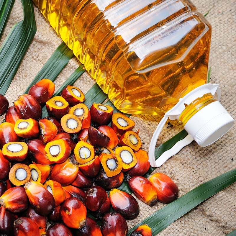 Indonesia and Malaysia clash with “protectionist” EU over palm oil policy