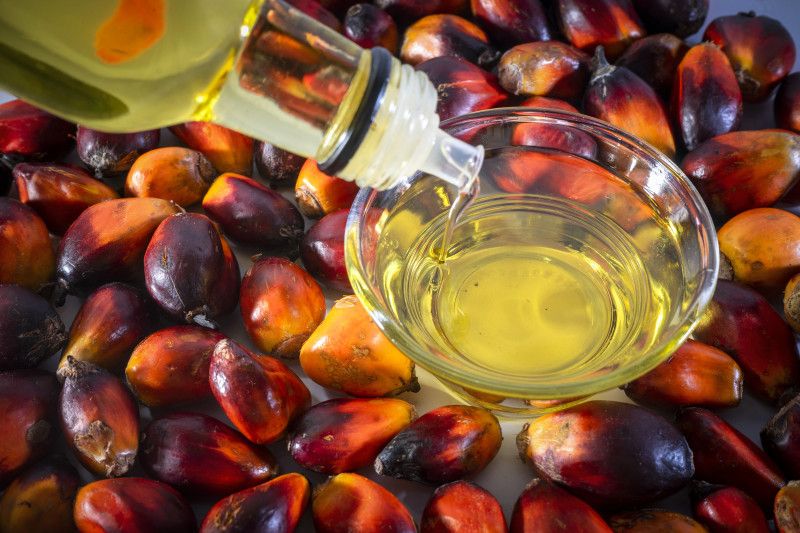 Indonesian Palm Oil: Sustainable and Reliable
