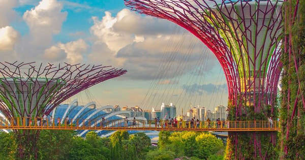 Singapore loses top spot in list of most Instagrammable places