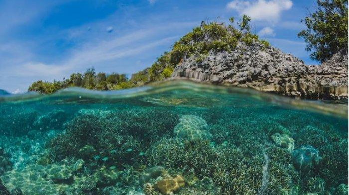 5 Best Diving Spots Under the Sea of Indonesia