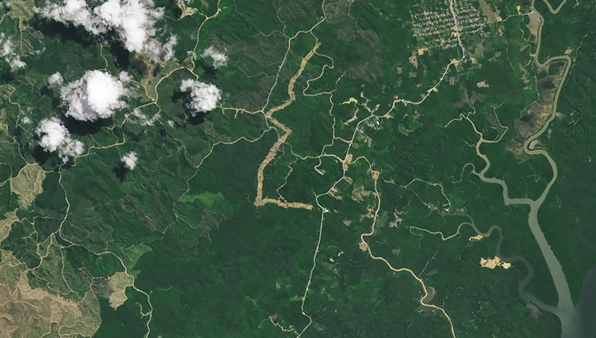 Before And After Satellite Images Show Indonesia's New Capital City Emerge From Jungle