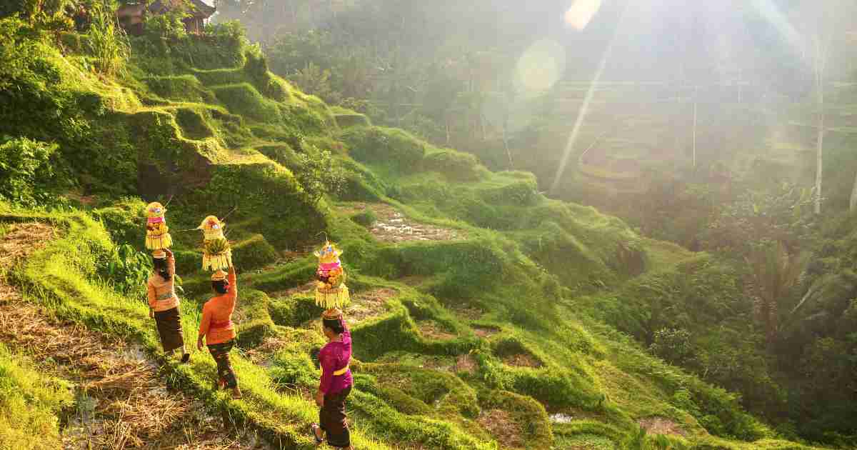 Interesting Facts about Indonesian Tourism, Widely Recognized by the World