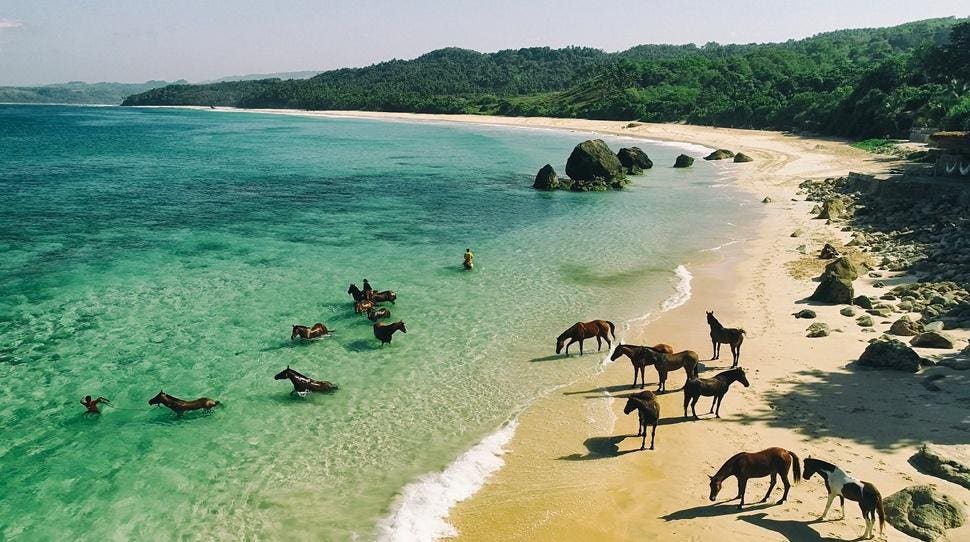 Wild Wellness In A Little-Known Indonesian Island