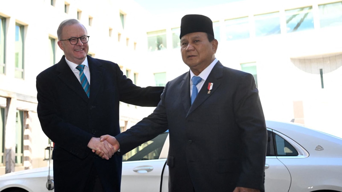 Australia and Indonesia seal treaty-level defence pact