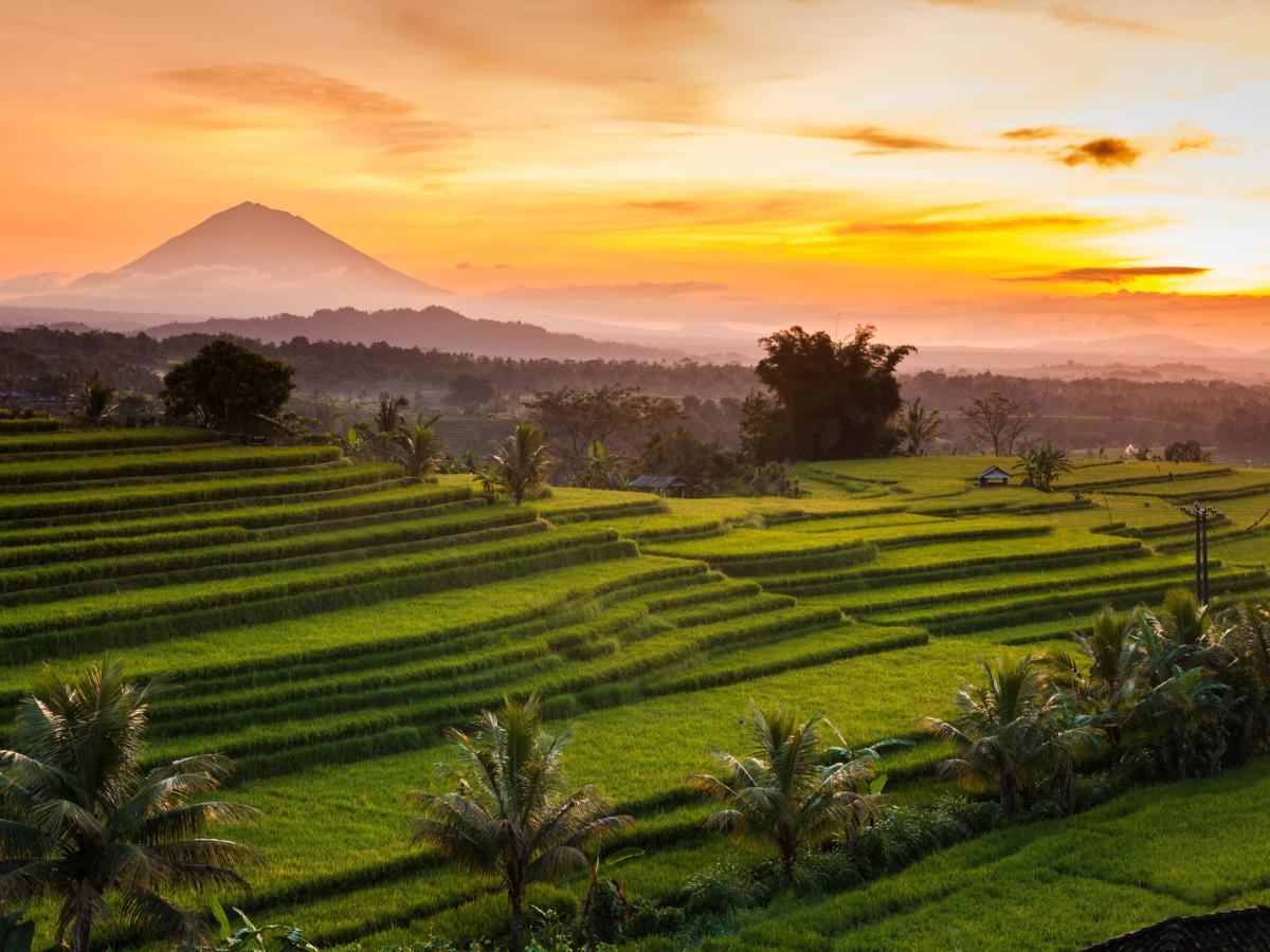 Indonesia is halting new hotel building in Bali, citing rampant overtourism