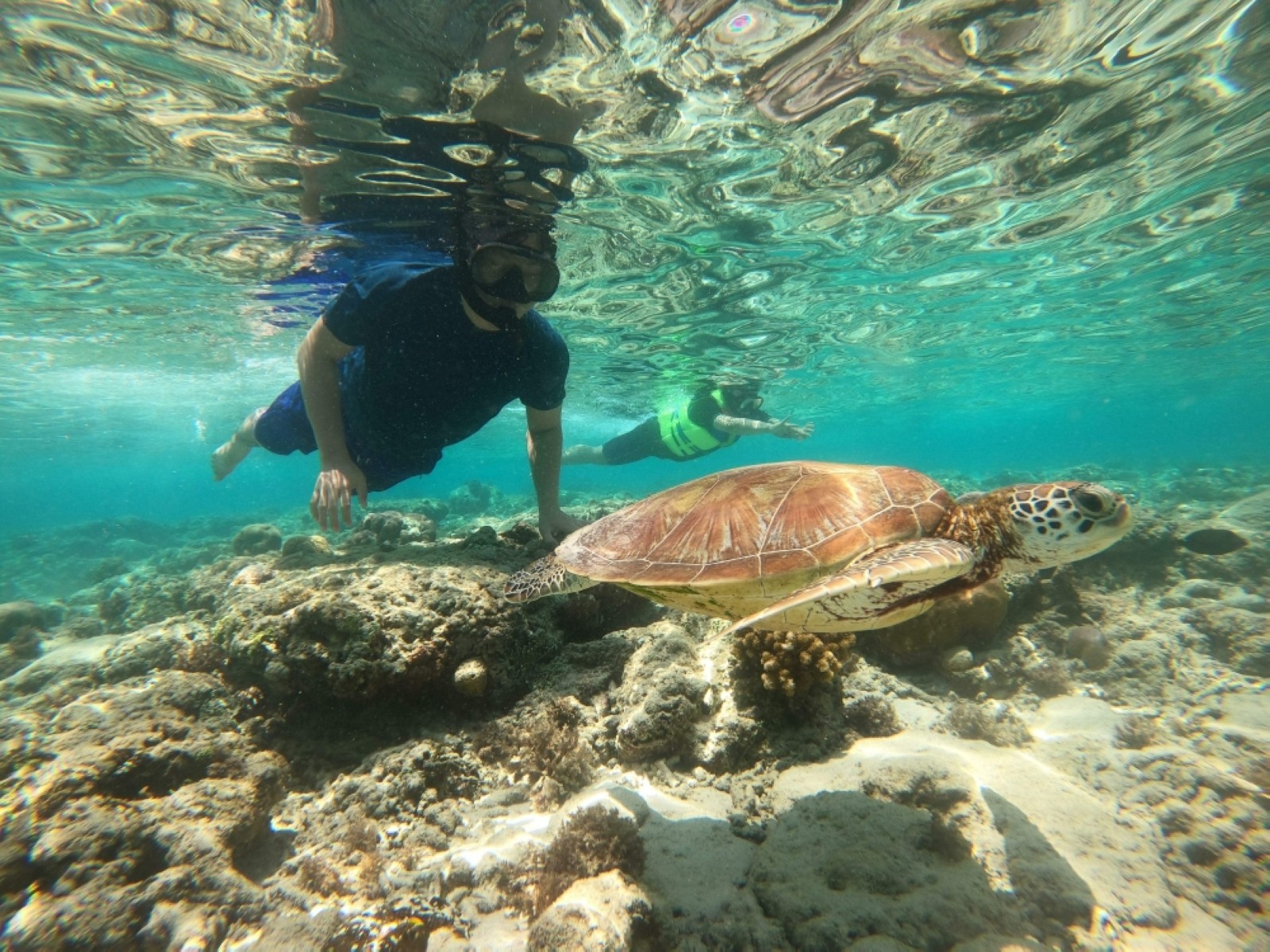 Indonesia’s picture-postcard beauty overwhelms senses